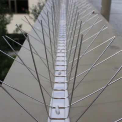 Bird Spike Installation